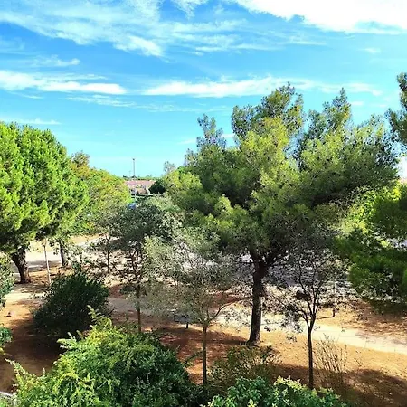 Cap D Agde, T2 Loggia, 4 Pers, Mole 300m * Agde